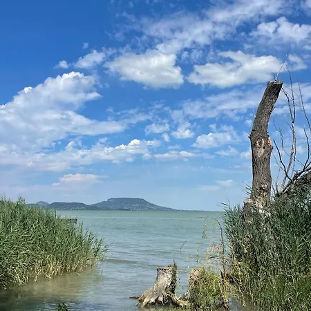 Дом отдыха Topart Vendeghaz Balatongyoeroek, Lakeside House